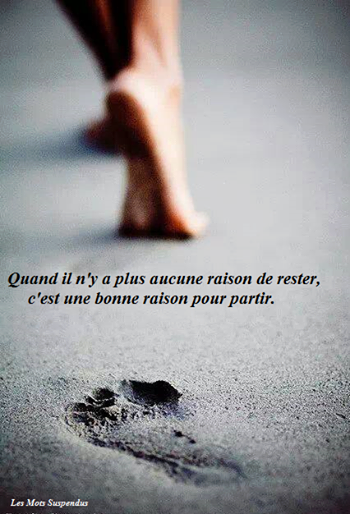 Citation sur la recherche de l amour